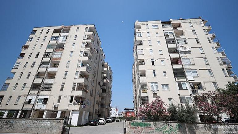 Siteye giren maymun Hayri için kafesli operasyon Evlere iniyor, ne bulursa yiyor