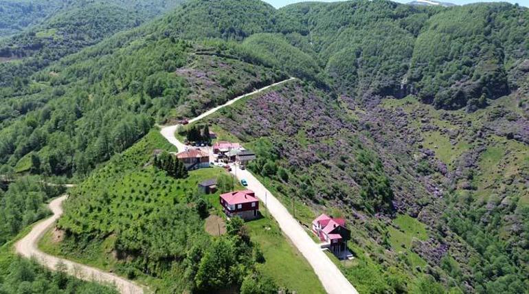 Öğretmenin hobisi hayatını değişitirdi Görüntüler yayınlanınca ünlü oldu