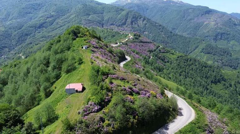 Öğretmenin hobisi hayatını değişitirdi Görüntüler yayınlanınca ünlü oldu