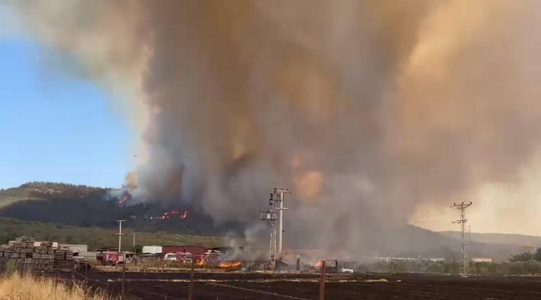 İzmir Aliağada orman yangını: Havadan ve karadan müdahale sürüyor