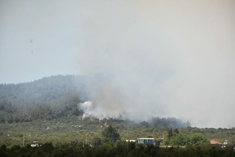İzmir Aliağada orman yangını: Havadan ve karadan müdahale sürüyor