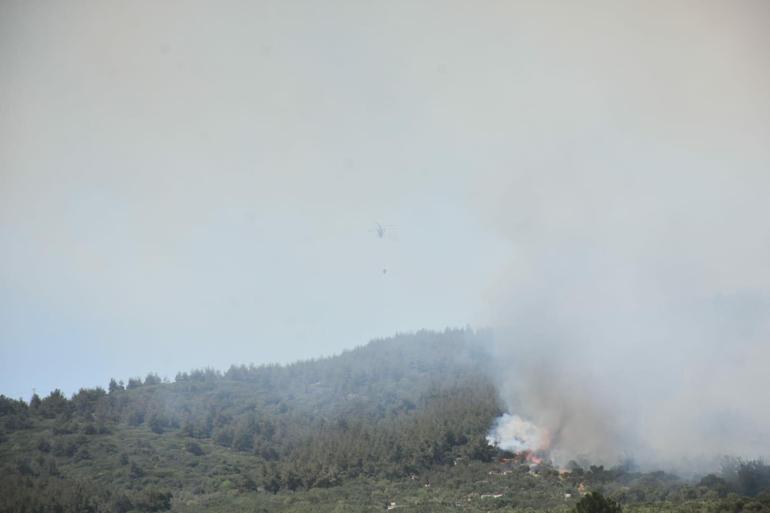 İzmir Aliağada orman yangını: Havadan ve karadan müdahale sürüyor