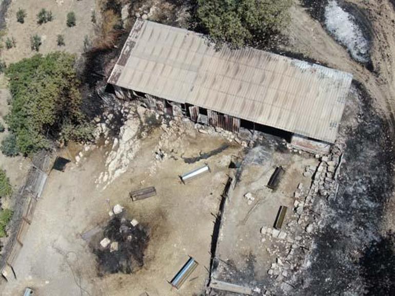 İzmirde yangınında acı bilanço Alevler mahalleyi sardı: Cehennemi yaşadık