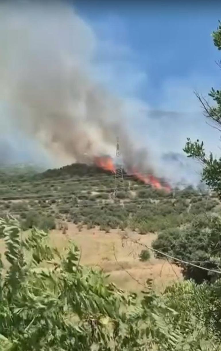 Bursada orman yangını Bölgede enerji akışı kesildi