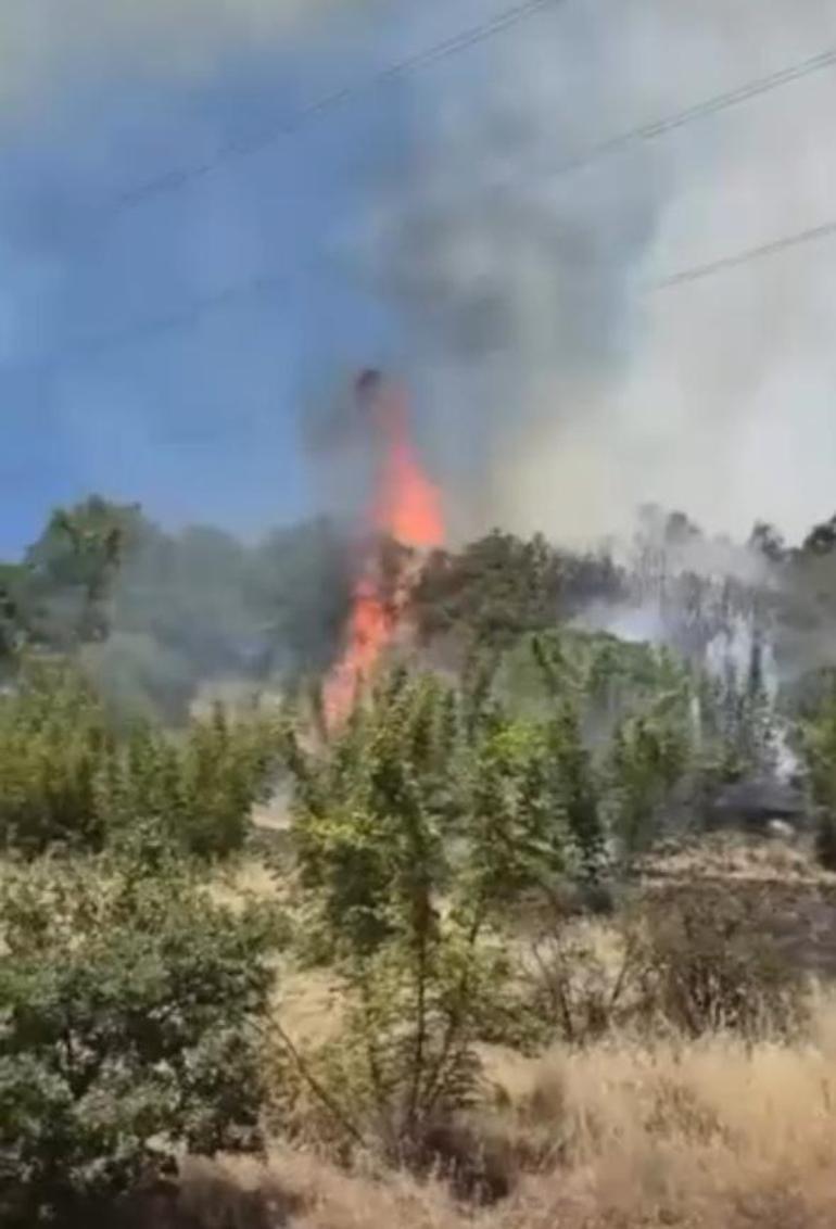 Bursada orman yangını Bölgede enerji akışı kesildi