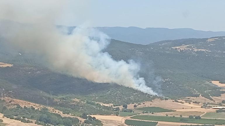 Bursada orman yangını Bölgede enerji akışı kesildi