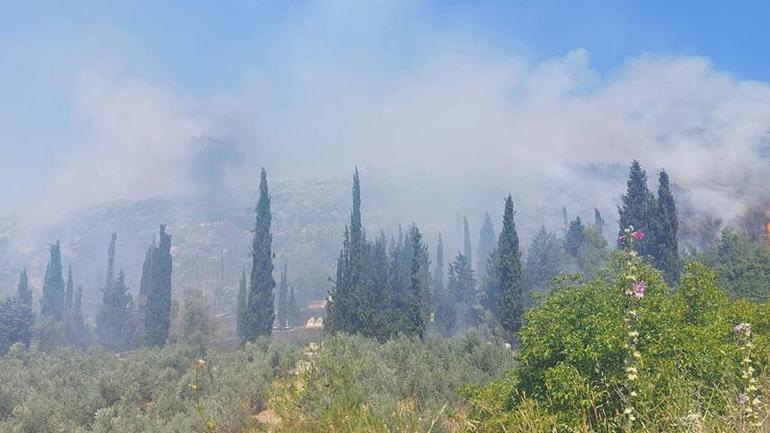 685e6bda280d2d4b642be6df Son dakika... Bursa’da yangın paniği! Alevler köydeki evlere sıçradı