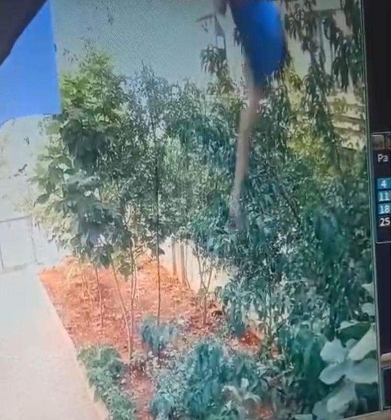 2 aylık hamile Emelin şüpheli ölümü Son anları kamerada