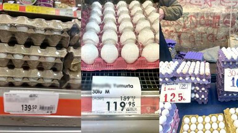 Yumurta fiyatlarında dikkat çeken düşüş Nedeni belli oldu