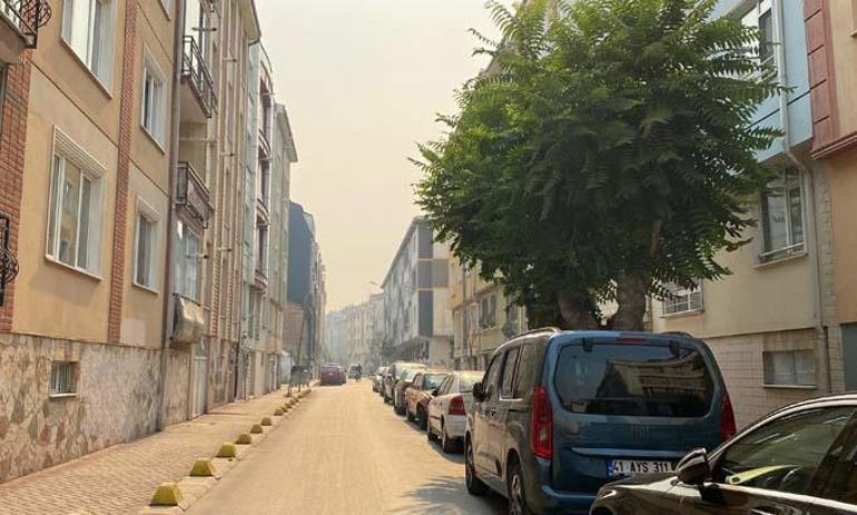 Bilecikteki orman yangınının dumanı Eskişehire ulaştı