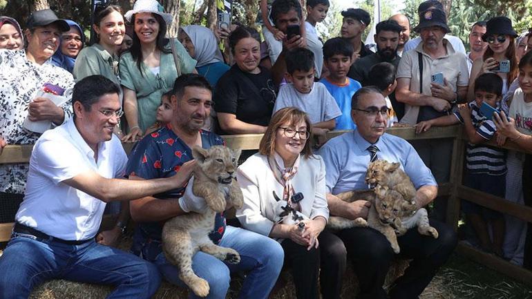 Cumhurbaşkanı Erdoğana hediye edilen aslanların 3 yavrusu dünya geldi