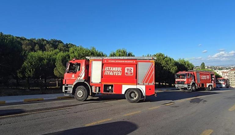 Aydos Ormanında yangın kısa sürede kontrol altına alındı