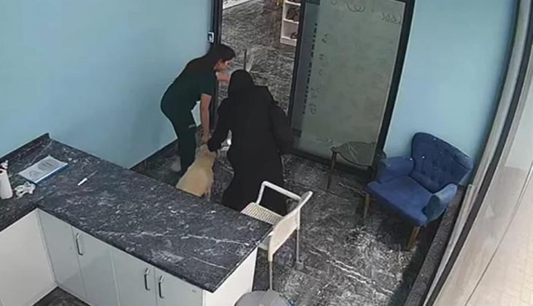 68642ee8407805e46c036f6c Marmara depremi esnasında yürekli ısıtan görüntü! Tedavi ettiği köpeğin yanına koştu