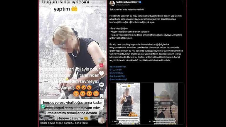 6865049ec4317961fa3ff42a Sakarya’da sahte veteriner skandalı! Sokak kedilerine iğne yaptı şok detaylar ortaya çıktı