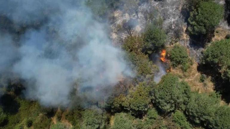 Sultangazide ormanlık alanda çıkan yangın kontrol altına alındı