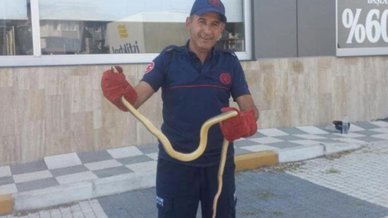 68668ffa280d2d4b642c0cc5 Yer: Burdur! Metrelerce uzunluktaki yılanı ayakkabıların arasında fark ettiler