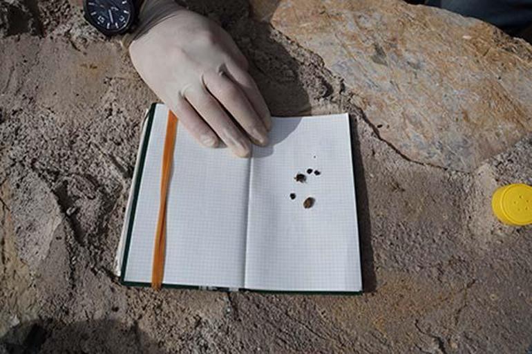 Profesörden kenenin varlığını anlama testi: Eğer ortamda varsa gelecektir