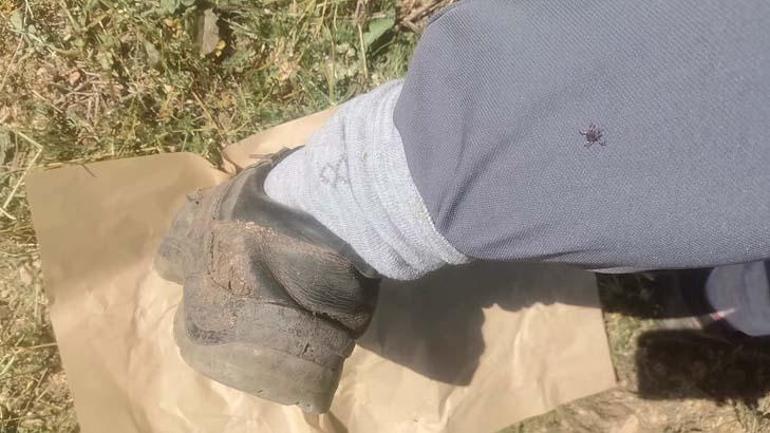 Profesörden kenenin varlığını anlama testi: Eğer ortamda varsa gelecektir
