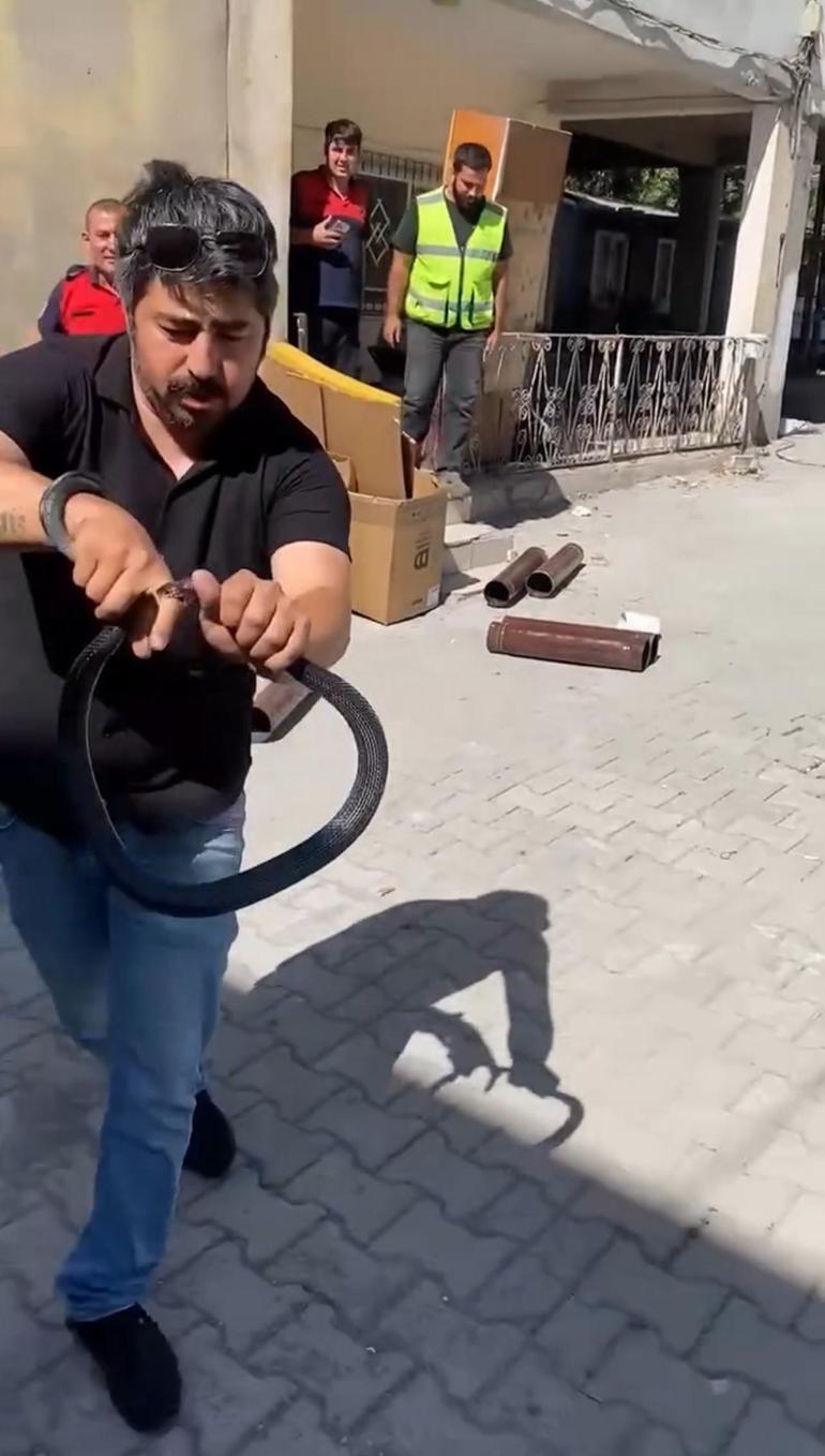 6868cad1407805e46c037fb4 Eve giren yılanı yakalamak istedi, parmağını kaptırdı