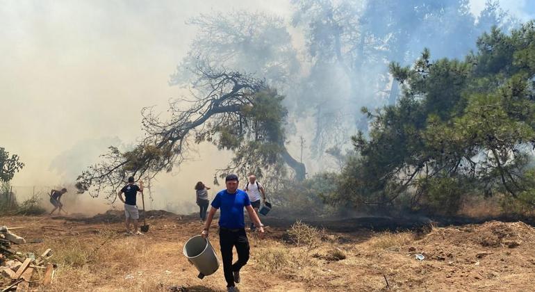 Son dakika: Antalyada orman yangını Turistler alevlere müdahale etti