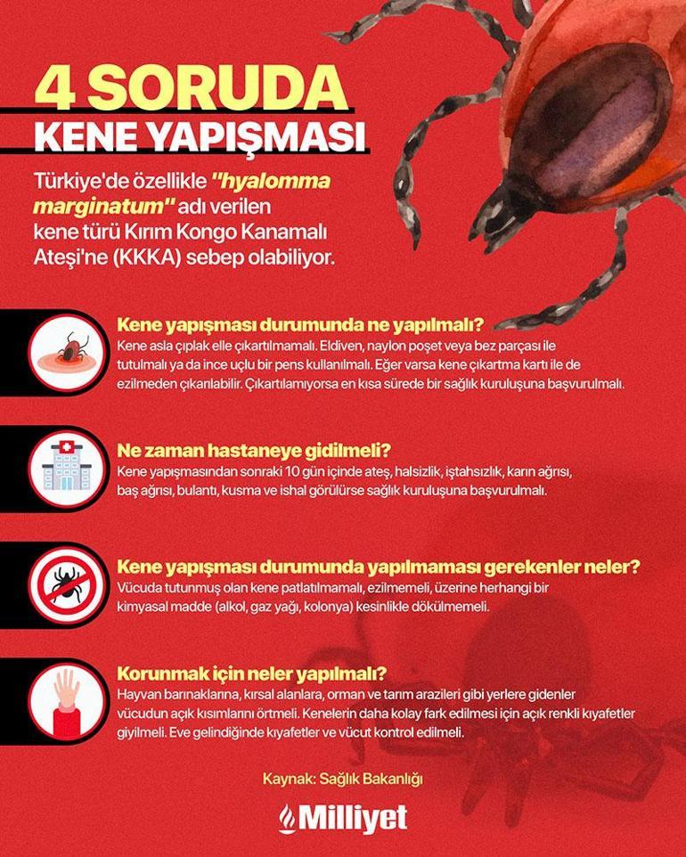 Yastıkta gördü, 120 dönümü yaktı Kene eve girmez: Çaresi ilaç değil, keklikler