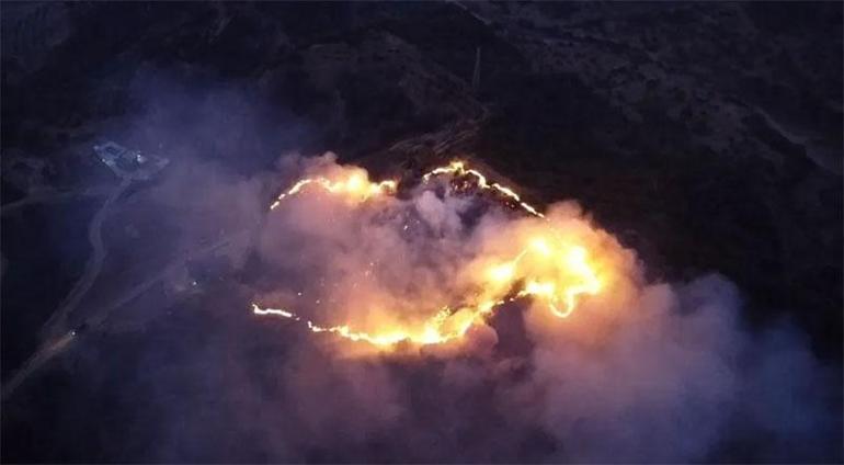 Yastıkta gördü, 120 dönümü yaktı Kene eve girmez: Çaresi ilaç değil, keklikler