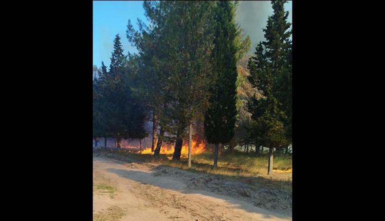 SON DAKİKA: Orman yangınlarında son durum Bakan Yumaklı tek tek duyurdu