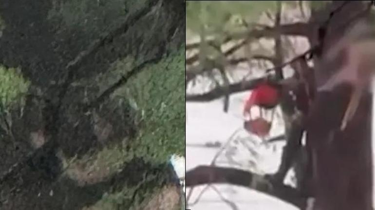 686a1956c4317961fa40024e SON DAKİKA HABERLERİ: TEKSAS'TA FIRTINA VE SEL FELAKETİ: ÖLÜ SAYISI ARTIYOR, 32 KM SÜRÜKLENDİ, MUCİZE KURTULUŞ!