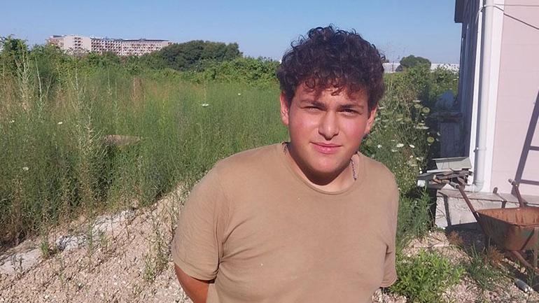 686a33d6407805e46c0384c0 Antalya'da aslan saldırısı! Kafesinden kaçtı, bir kişiyi ağır yaraladı