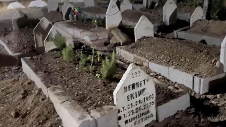 686a4351407805e46c0384ff Yer: Batman! Aile ziyarete gitti, şaştı kaldı: Mezar başka yerdeydi