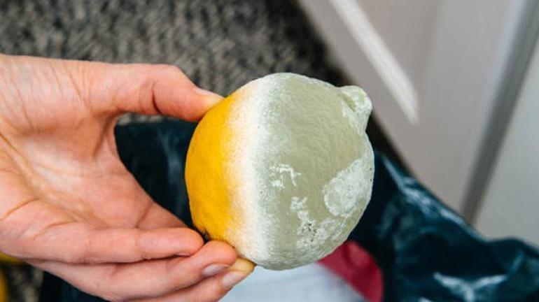Limonun çürümesine neden olan hatalar Bu yöntemlerle haftalarca taş gibi kalacak