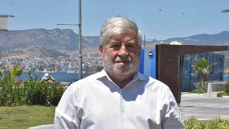 Keneler Anadoludan sonra şimdi de İstanbul ve İzmir’de Sıcaklık arttı risk büyüdü
