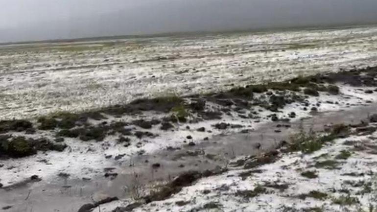 Büyük sürpriz Bir kent beyaza büründü