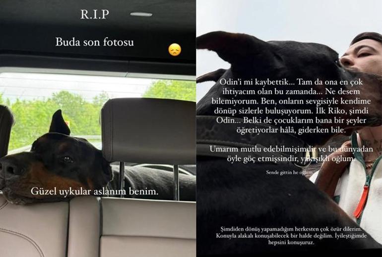 Mahmut Orhan maakte het verwoestende nieuws van zijn overlijden bekend in een emotioneel bericht: Eerst Riko, nu Odin...