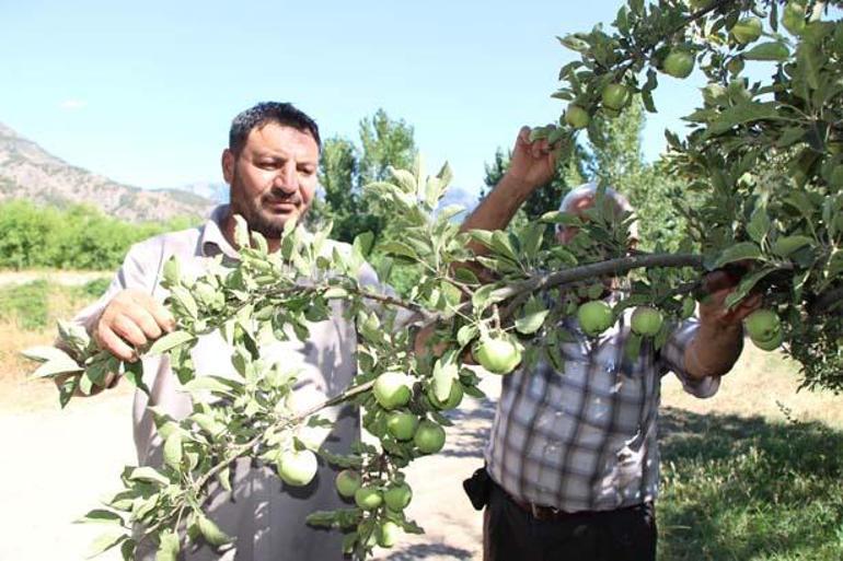 Dua etti, sabaha kadar suladı Bahçeye giren şaşkın: Her şeyin para olmadığını gösterdi