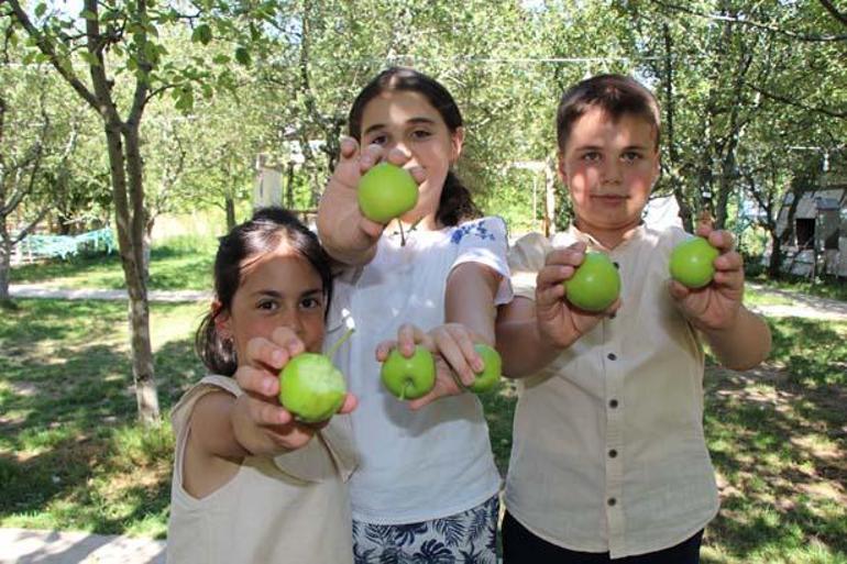 Dua etti, sabaha kadar suladı Bahçeye giren şaşkın: Her şeyin para olmadığını gösterdi