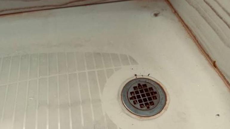 Gider kokusunu şıp diye kesiyor Evi saran kötü kokuya son veren yöntem