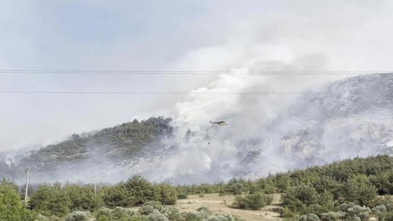El fuego forestal en Bilecik fue controlado