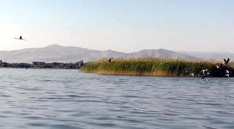 Aradaki mesafe 4 kilometreden 1e düştü İki mahalle tedirgin: Sınırlarımız birleşti