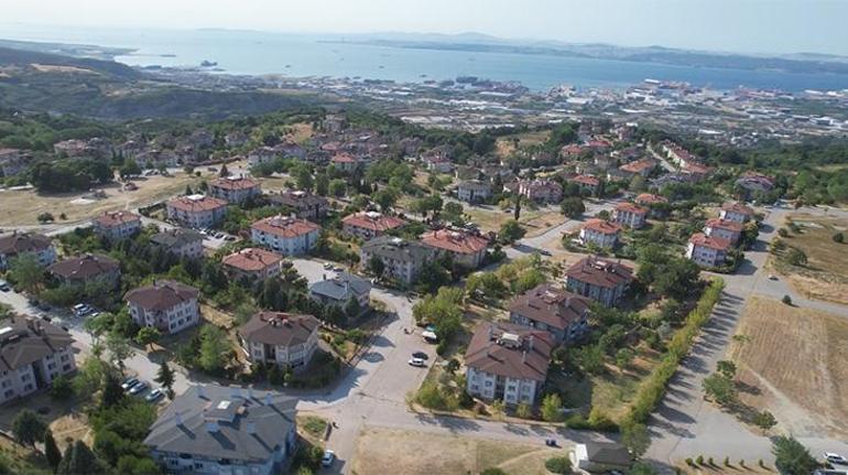 687258a2280d2d4b642c3d9c Yalova’da tepki çeken hayvan besleme yasağı! Belediyeden açıklama geldi