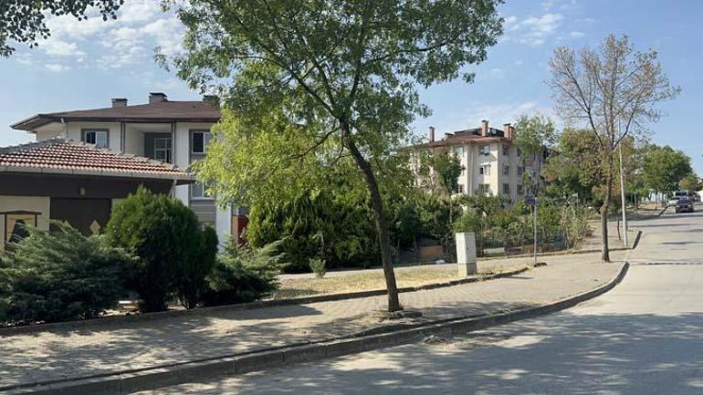 687258c7280d2d4b642c3d9e Yalova’da tepki çeken hayvan besleme yasağı! Belediyeden açıklama geldi