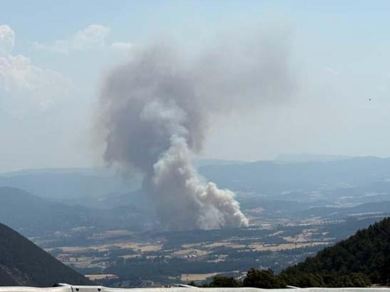 68764a28c4317961fa4034ad Son dakika... Bolu'da anız yangını ormana sıçradı