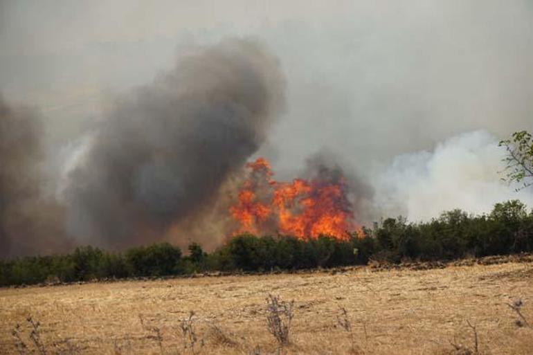 Our lungs are burning, the flames are advancing towards residential areas