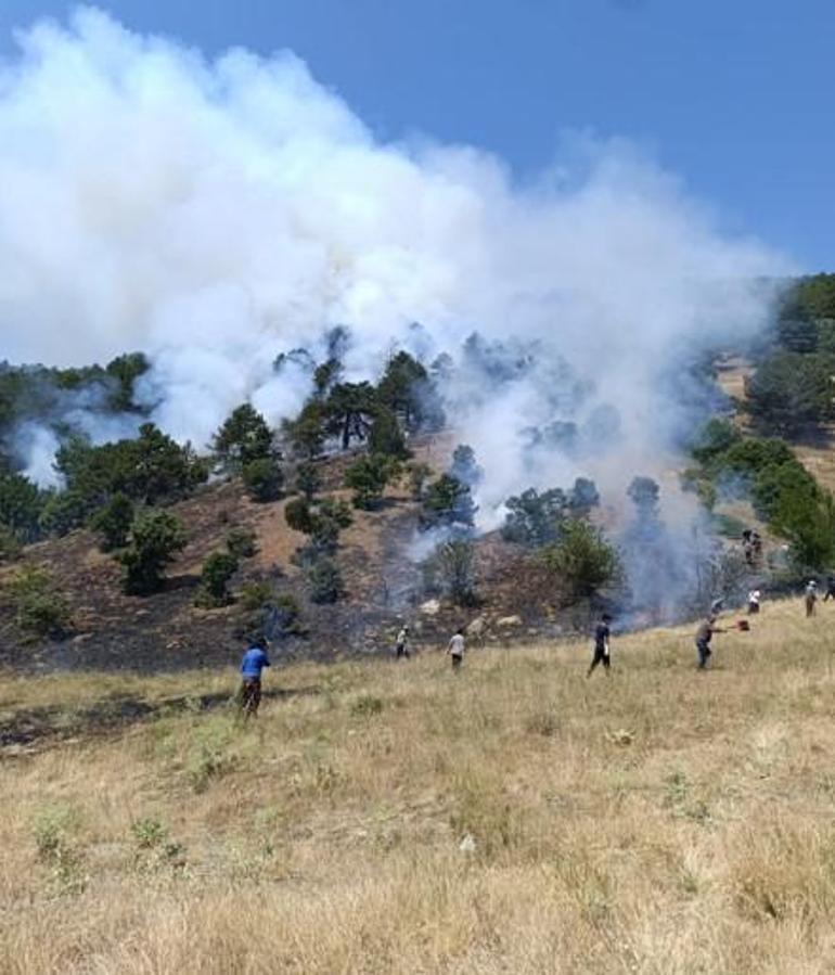 Our lungs are burning, the flames are advancing towards residential areas