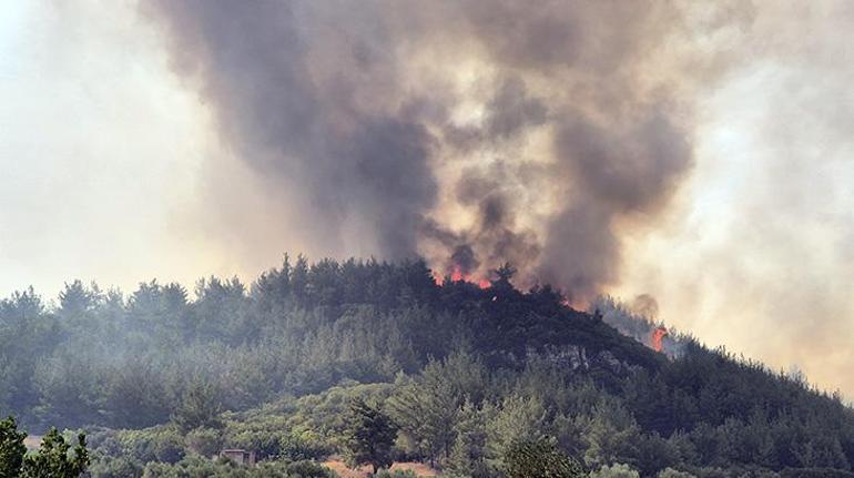 Our lungs are burning, the flames are advancing towards residential areas