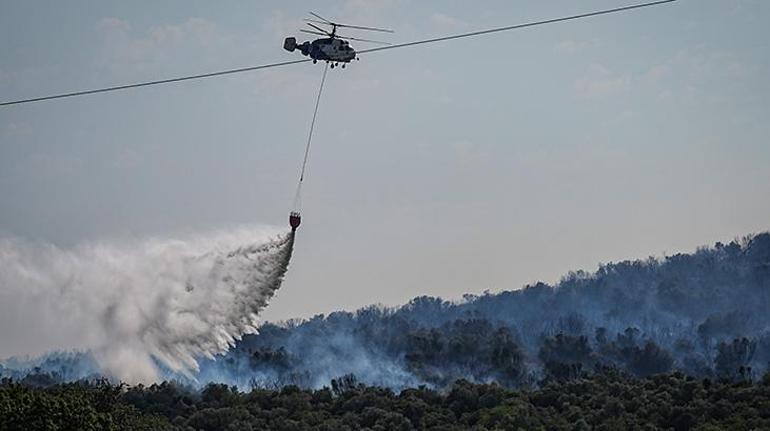 Our lungs are burning, the flames are advancing towards residential areas