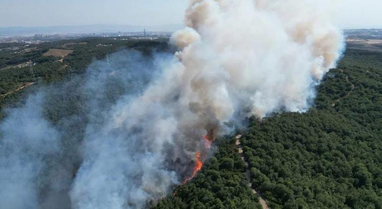 Our lungs are burning, the flames are advancing towards residential areas