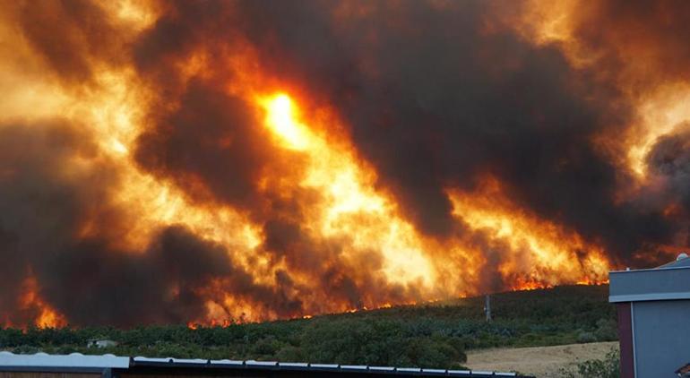 Our lungs are burning, the flames are advancing towards residential areas