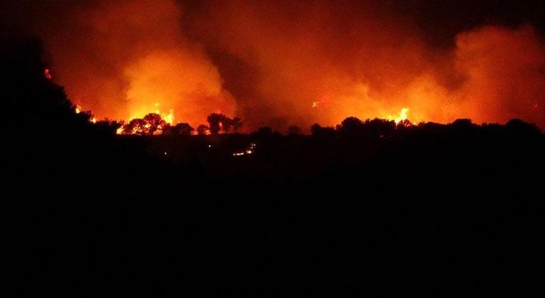 Our lungs are burning, the flames are advancing towards residential areas