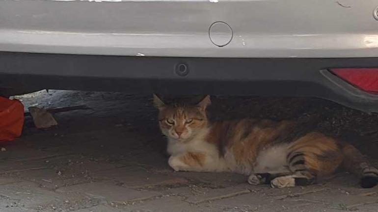 6878daf2bf2042513dfa00f5 Kâğıthane’de faciadan dönüldü! 3 katlı binanın balkonu çöktü